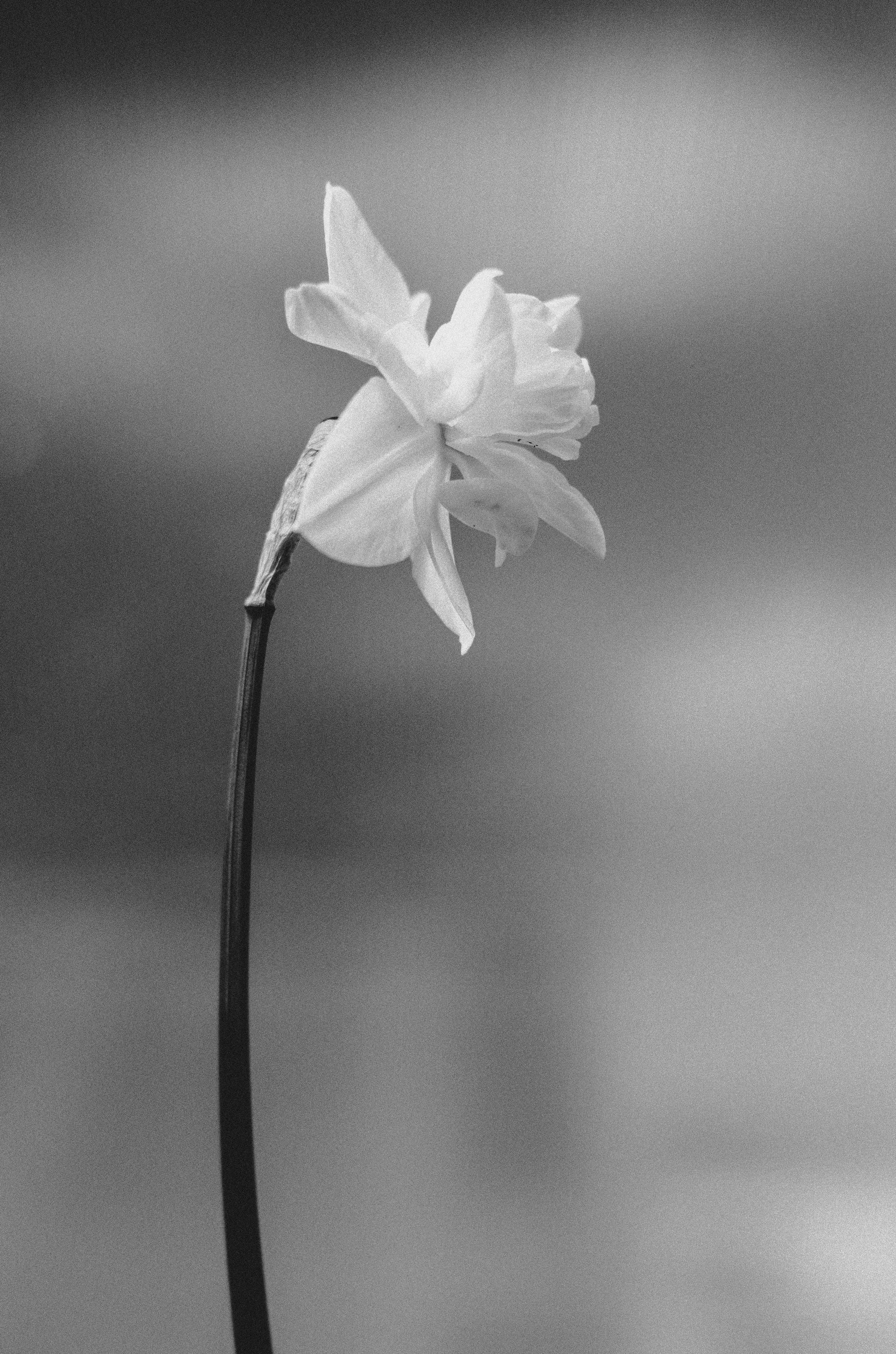 Novo-Modo for all your corporate Loans and legal funding needs