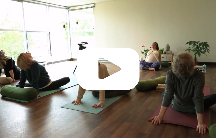 Yoga can play an important role in cancer recovery — helping improve flexibility, rebuild strength, reduce fatigue, and support overall mental wellness.

Watch the introduction video to learn how to prepare and what to expect before getting started.

Yoga episodes are guided by Jodie Duplisea, offering supportive, accessible sessions designed with cancer recovery in mind. Funded by the CURE Foundation