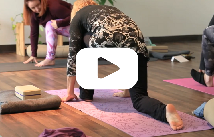 Yoga can play an important role in cancer recovery — helping improve flexibility, rebuild strength, reduce fatigue, and support overall mental wellness.

Watch the introduction video to learn how to prepare and what to expect before getting started.

Yoga episodes are guided by Jodie Duplisea, offering supportive, accessible sessions designed with cancer recovery in mind. Funded by the CURE Foundation