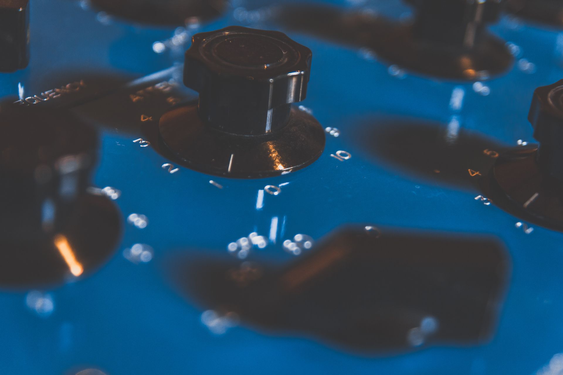 Un grupo de grifos flotan en un charco de agua.