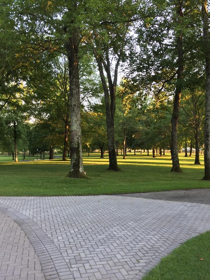 A brick walkway in a park with trees in the background