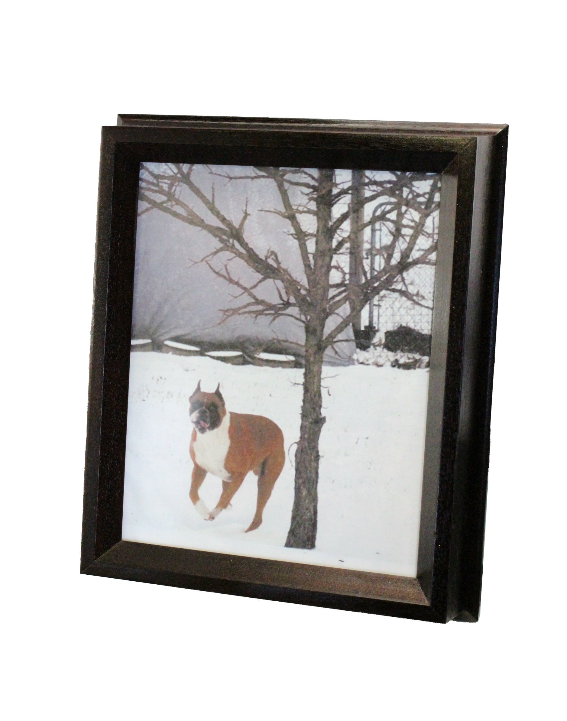 Picture Frame Urn