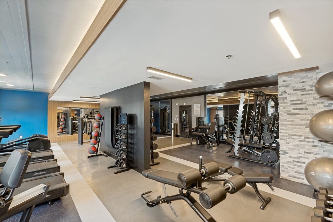 Modern gym interior with treadmills, weights, mirrors, and blue accent wall