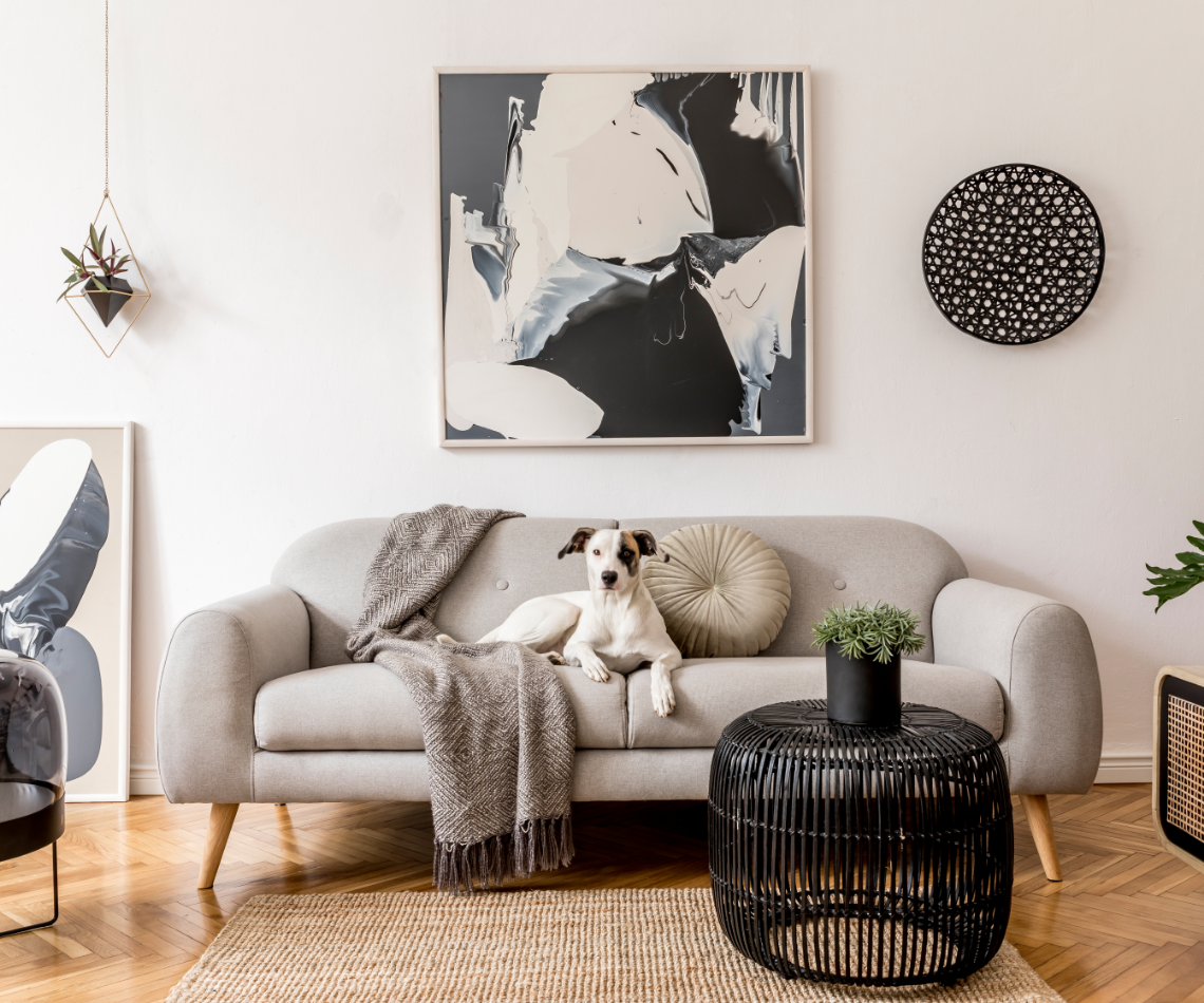 Dog on a gray sofa in a modern living room with abstract art and a woven rug.