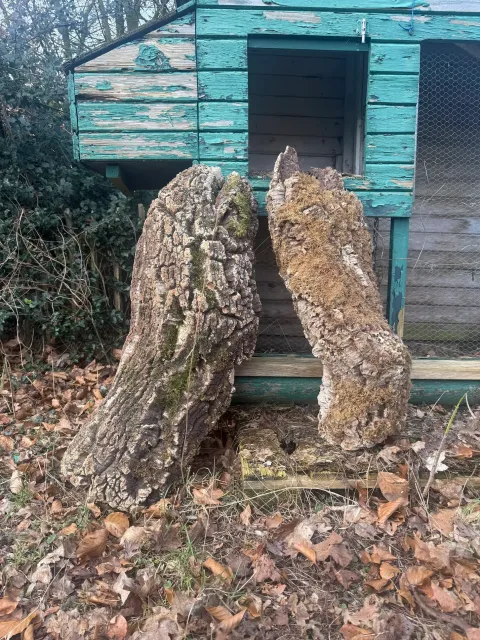 Large Cork Tubes