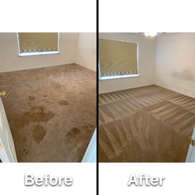 before and after carpet cleaning