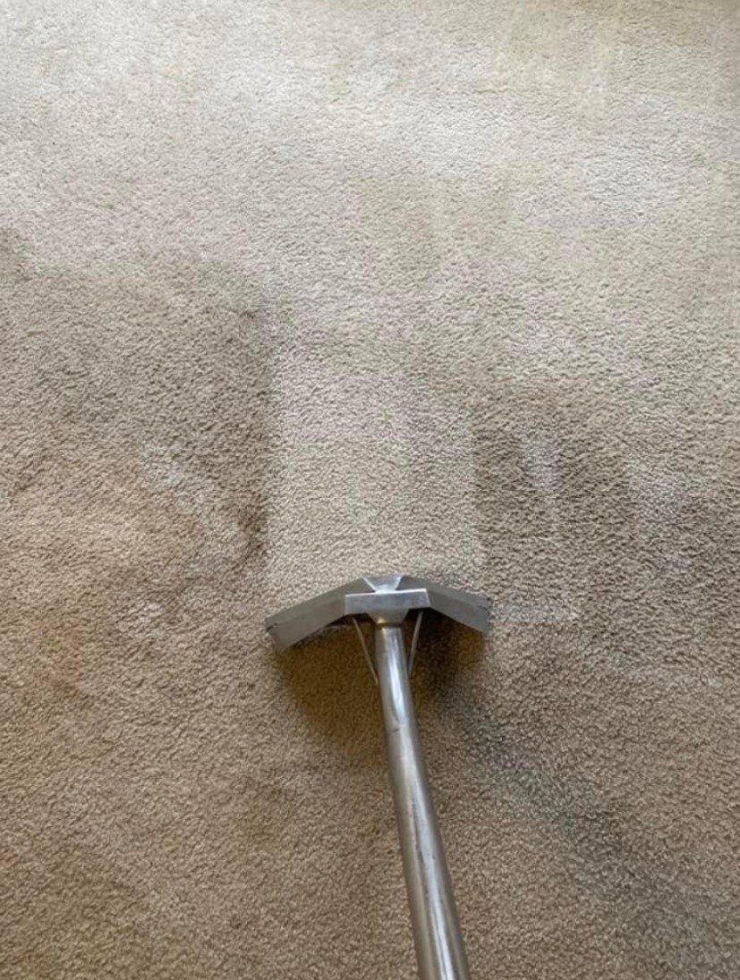 Carpet Cleaning Services