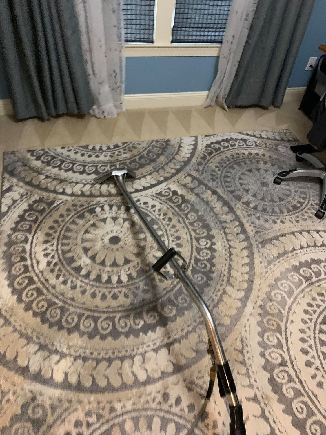 rug cleaning