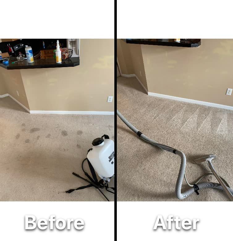 before and after carpet cleaning