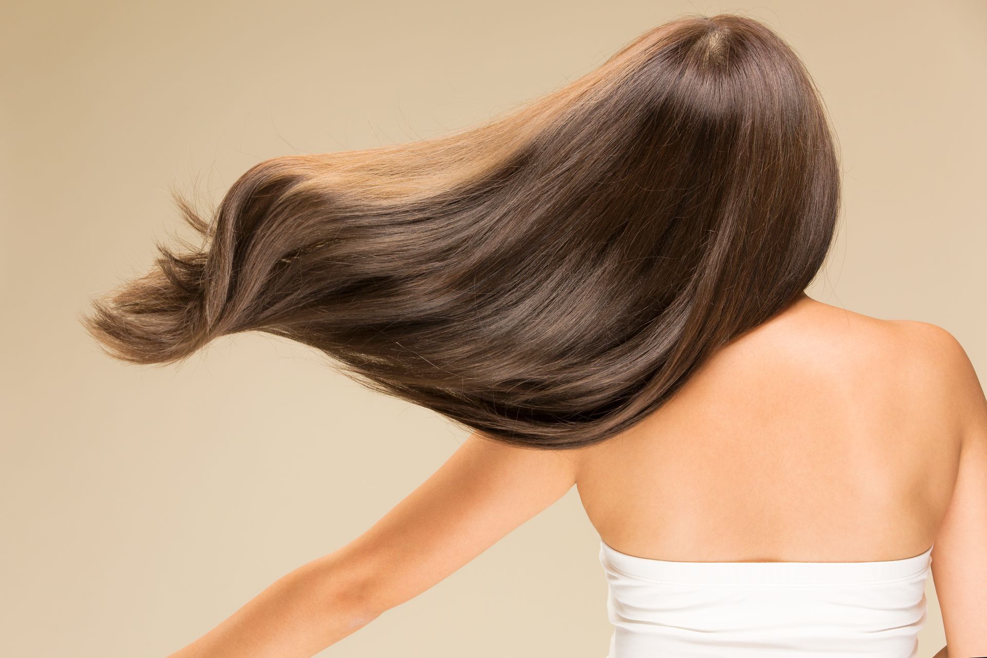 The back of a woman with long hair blowing in the wind.