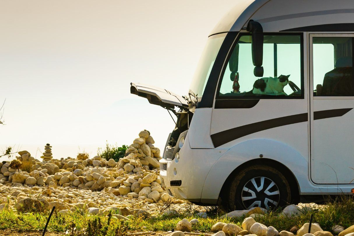 A White Rv is Parked in a Field With Its Trunk Open — Dempsters Caravan & RV in Rockhampton, QLD