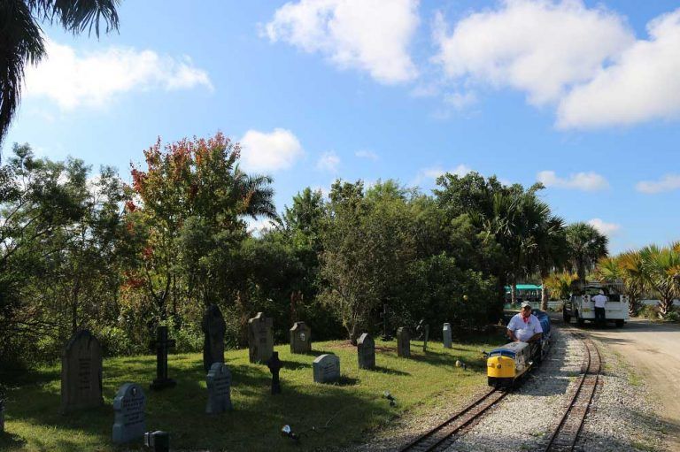 A train is going down the tracks in a cemetery.