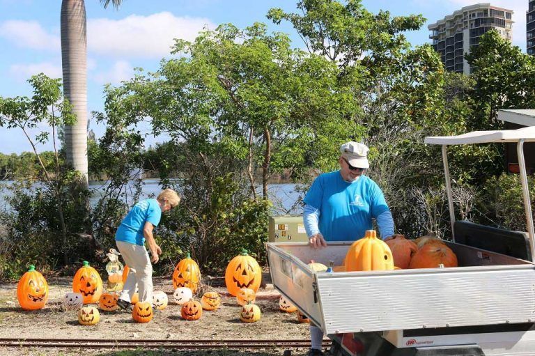 Two people are loading pumpkins into a trailer.