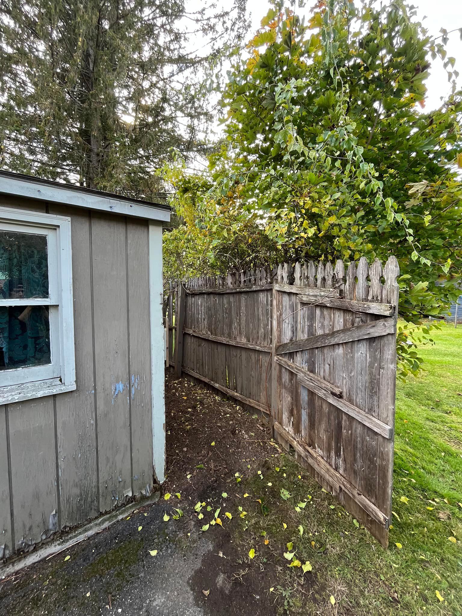 A wooden shed stands beside a weathered wooden picket fence in a yard filled with scattered yellow fallen leaves.