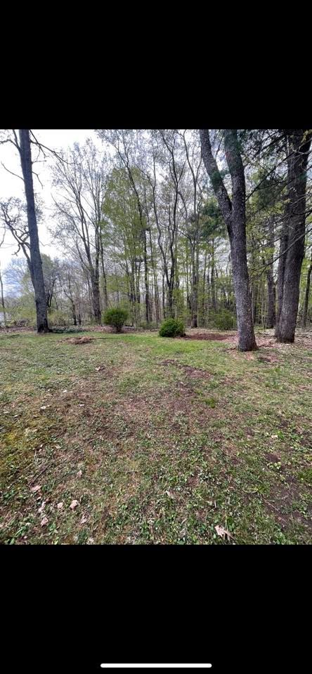 A grassy lawn transitions into a dense, wooded forest with tall, slender trees under an overcast sky.