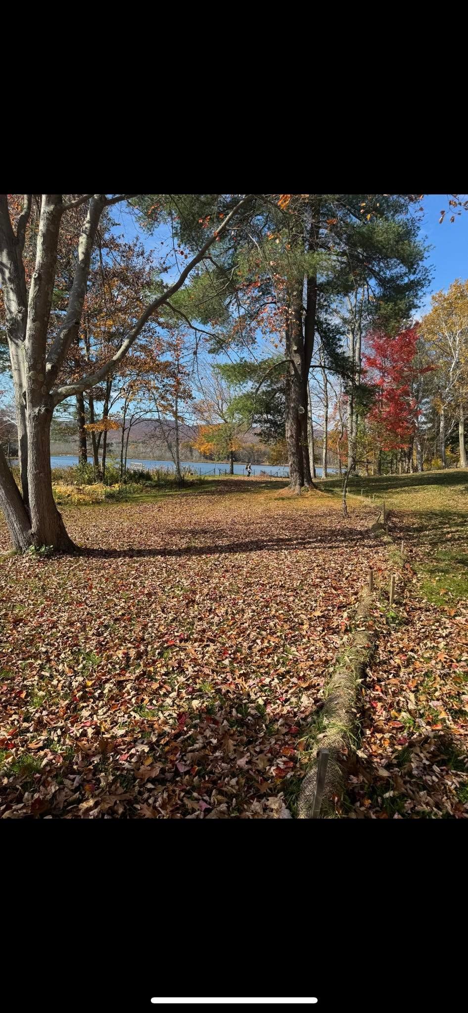 A scenic path covered in autumn leaves leads toward a calm lake surrounded by trees with fall foliage.
