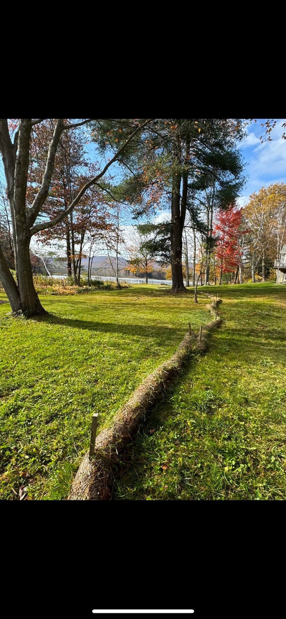 A long, fallen tree trunk lies on a grassy lawn with autumn trees and a distant blue sky in the background.