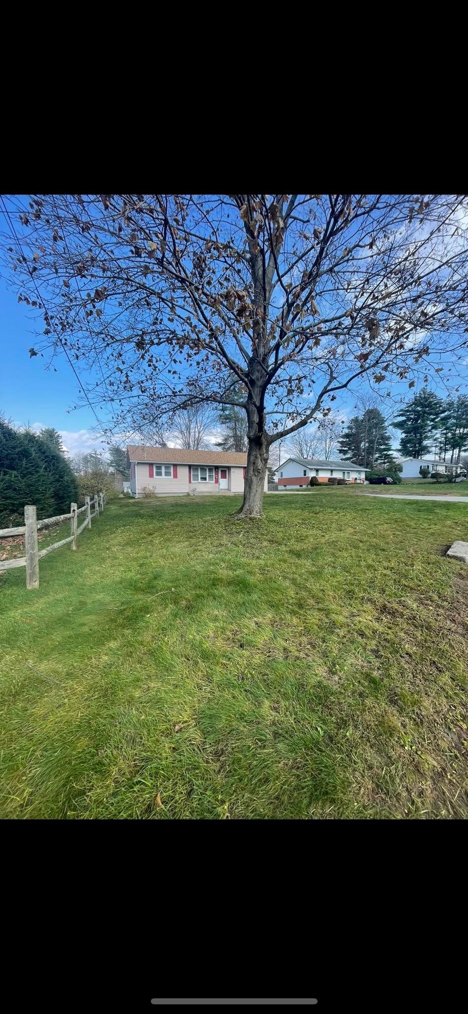 A green lawn with a large, leafless tree in the center, next to a wooden fence with a house in the background.
