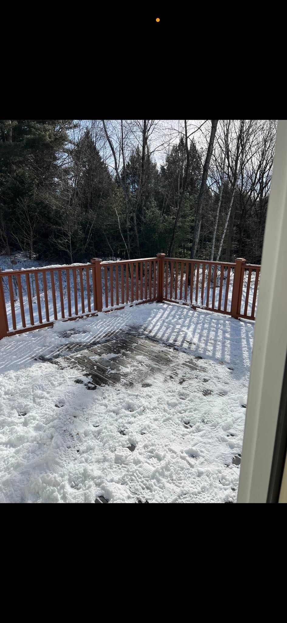A snow-covered patio with a wooden railing, surrounded by evergreen trees under a bright sky.