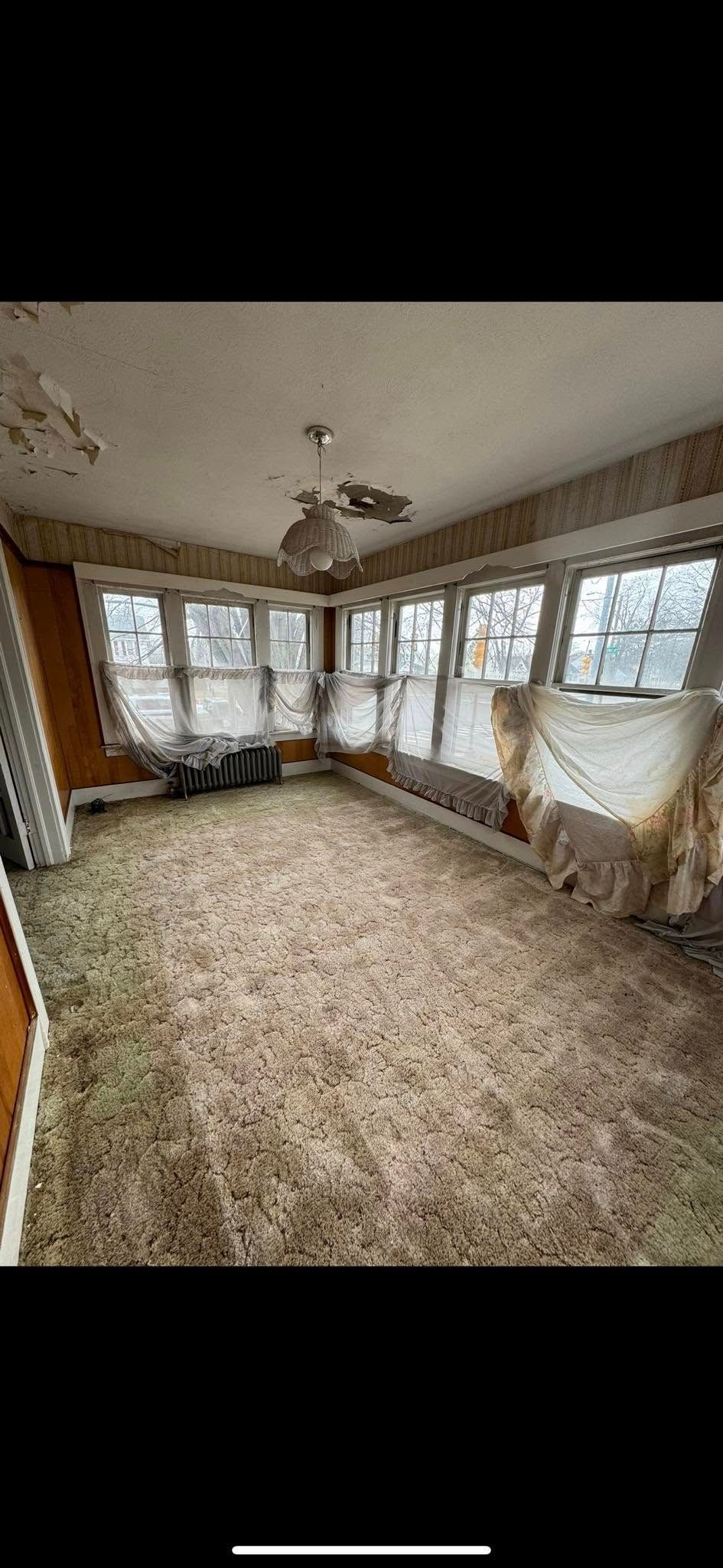 An interior view of a room with worn carpet, a damaged ceiling, and windows covered by tattered, dusty curtains.