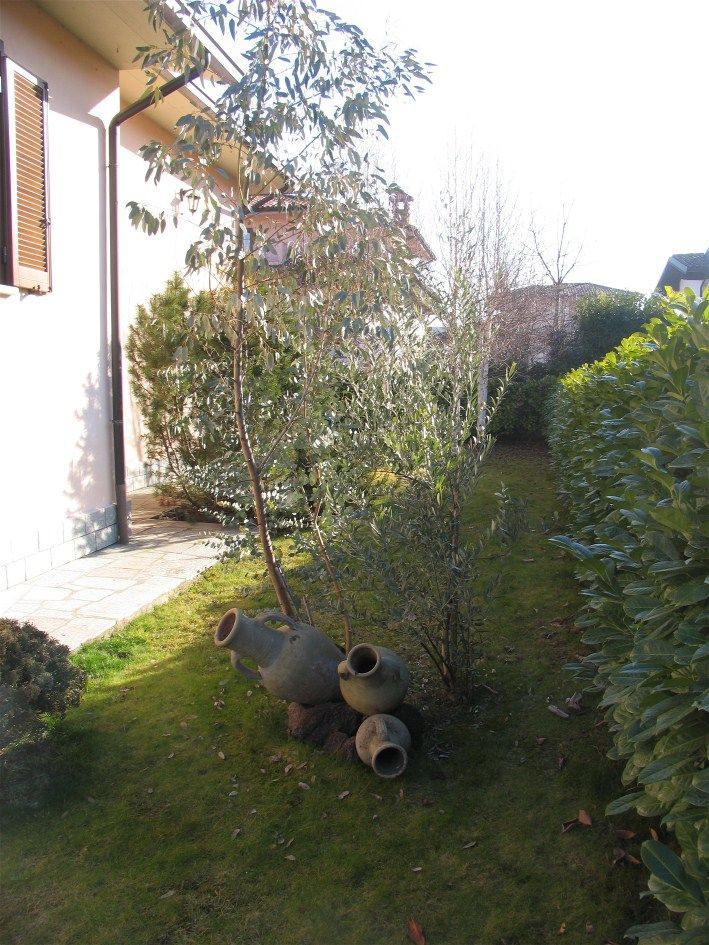 porzione di giardino della casa famiglia
