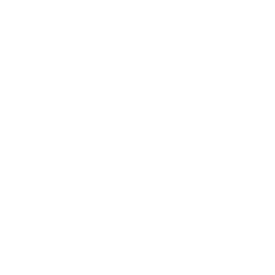 icona professionalità