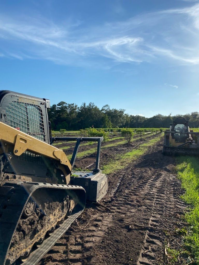 land clearing services 1