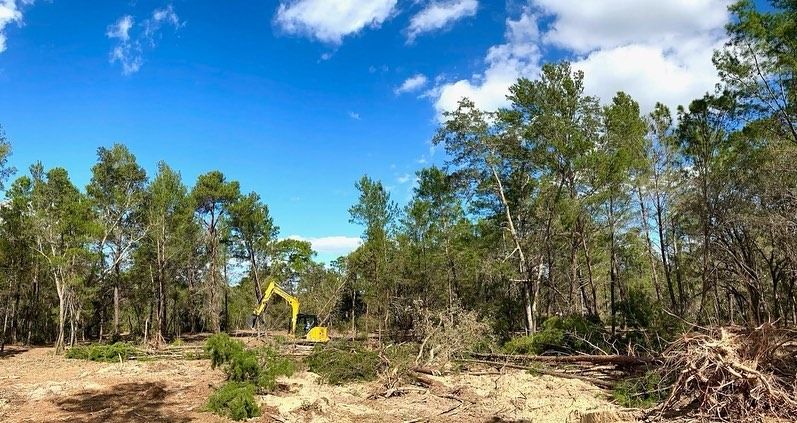 land clearing services 4