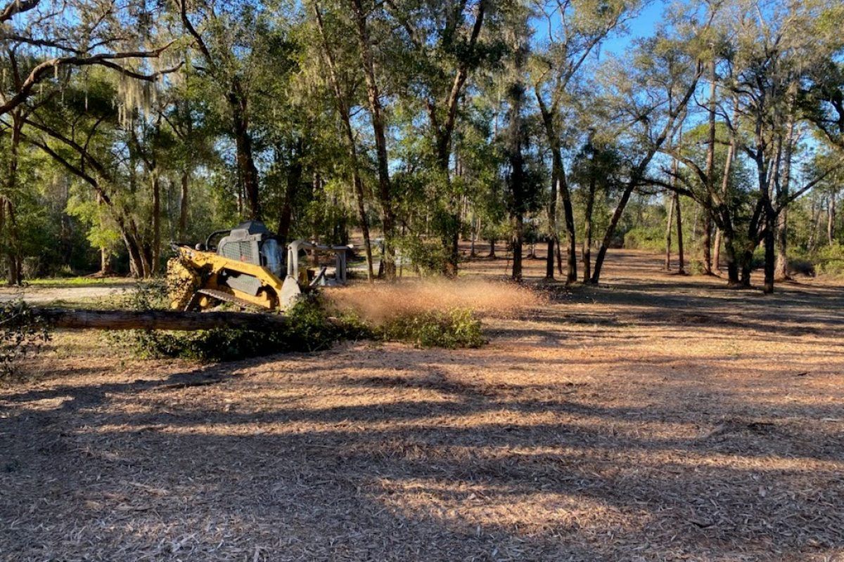 Forestry Mulching