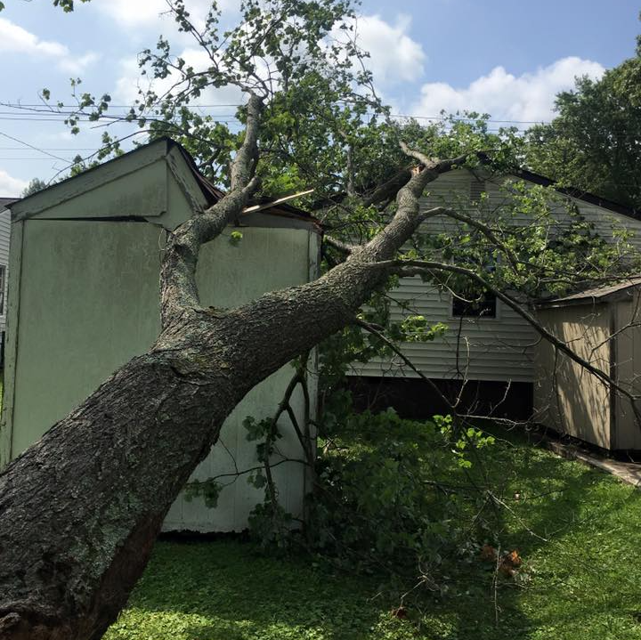 Fallen tree on house after storm — Louisville, TN — Petree Arbor Lawn & Landscape