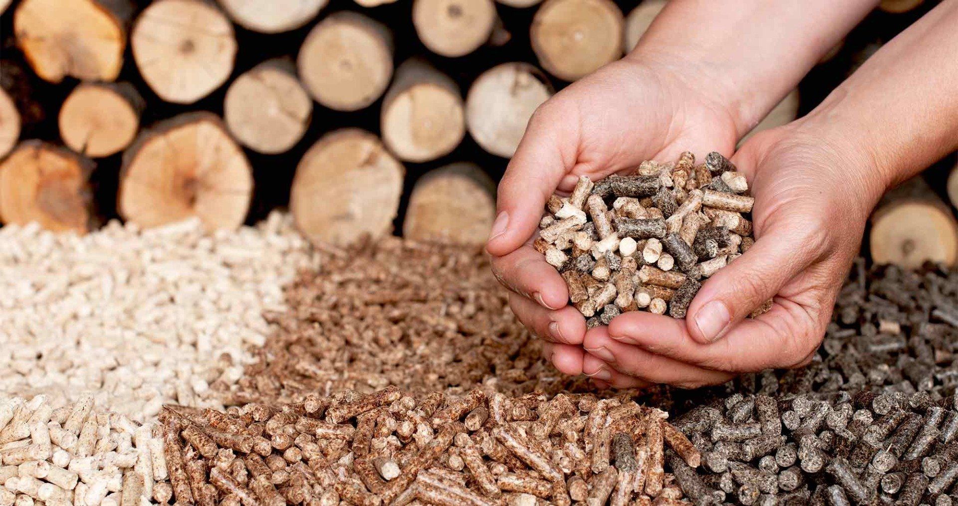 A person is holding a pile of wood pellets in their hands.