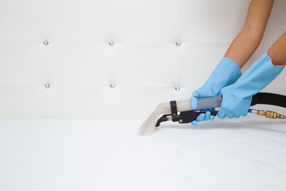 Person in Blue Gloves Cleaning a White Bed — Kingaroy Carpet Cleaners in Yarraman, QLD