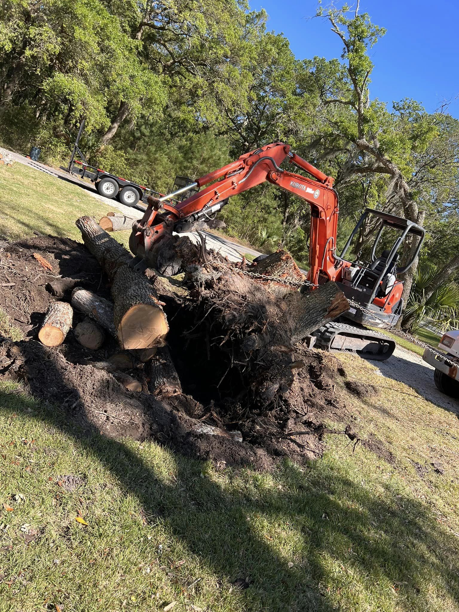 Powerful Equipment to Clear Trees — Charleston, SC — TBW Enterprises, LLC