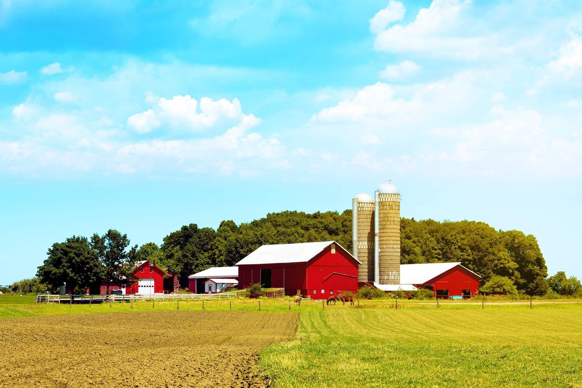 A farm with red barns and silos on a sunny day