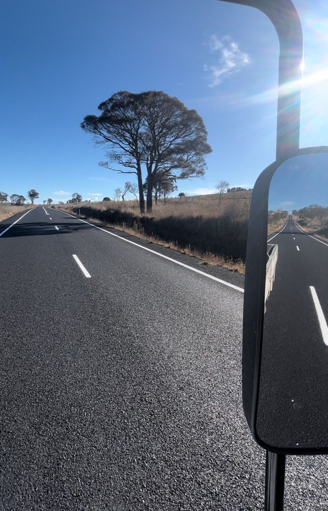 A car is driving down a road with a tree in the distance.