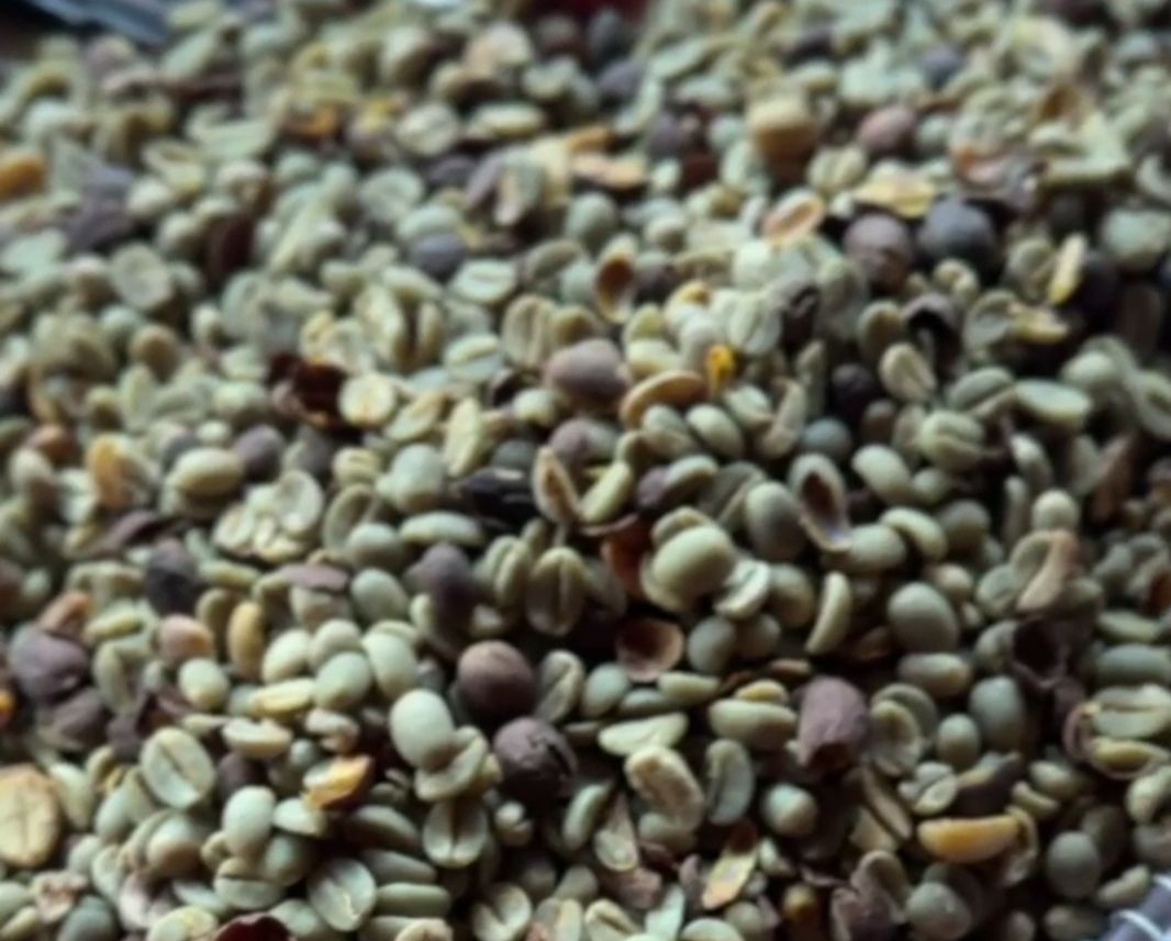 A pile of green and brown coffee beans on a table