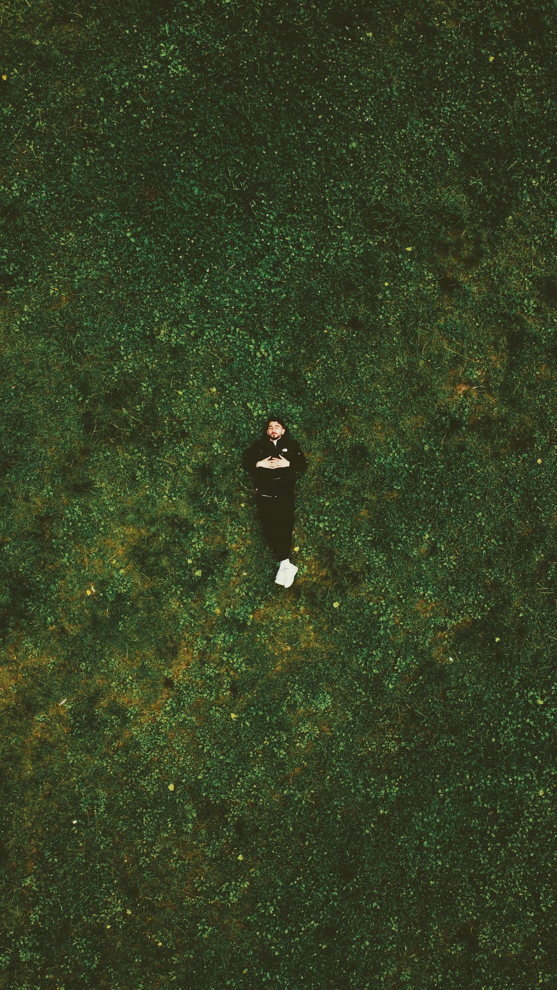 A person in dark clothing and white shoes lies on a vast, textured field of green grass and small white flowers.
