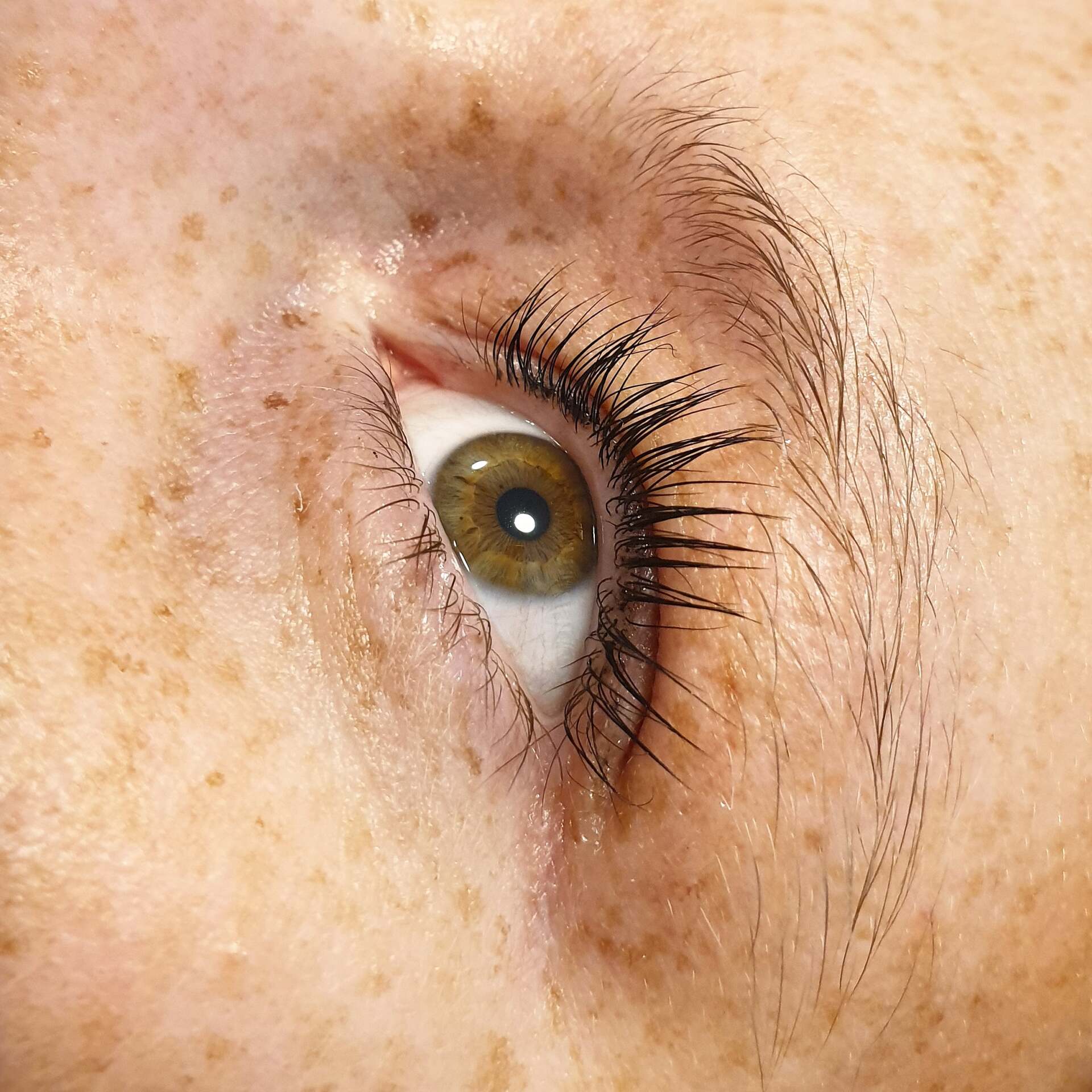 Atelier Beaute Wimpernverlängerung