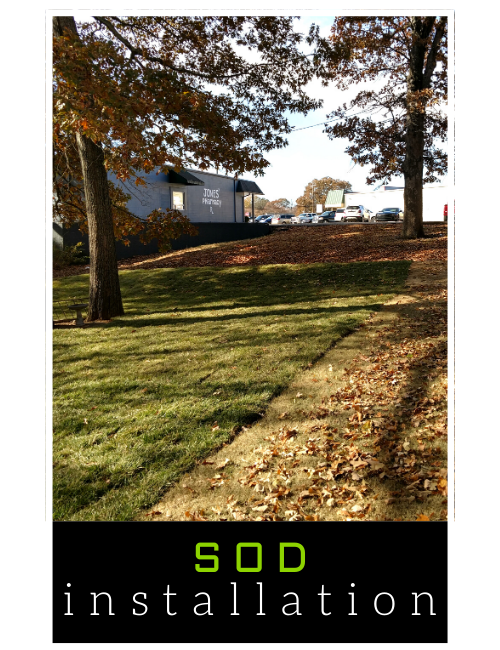 Grassy slope with trees and a building, labeled “SOD installation” at the bottom.