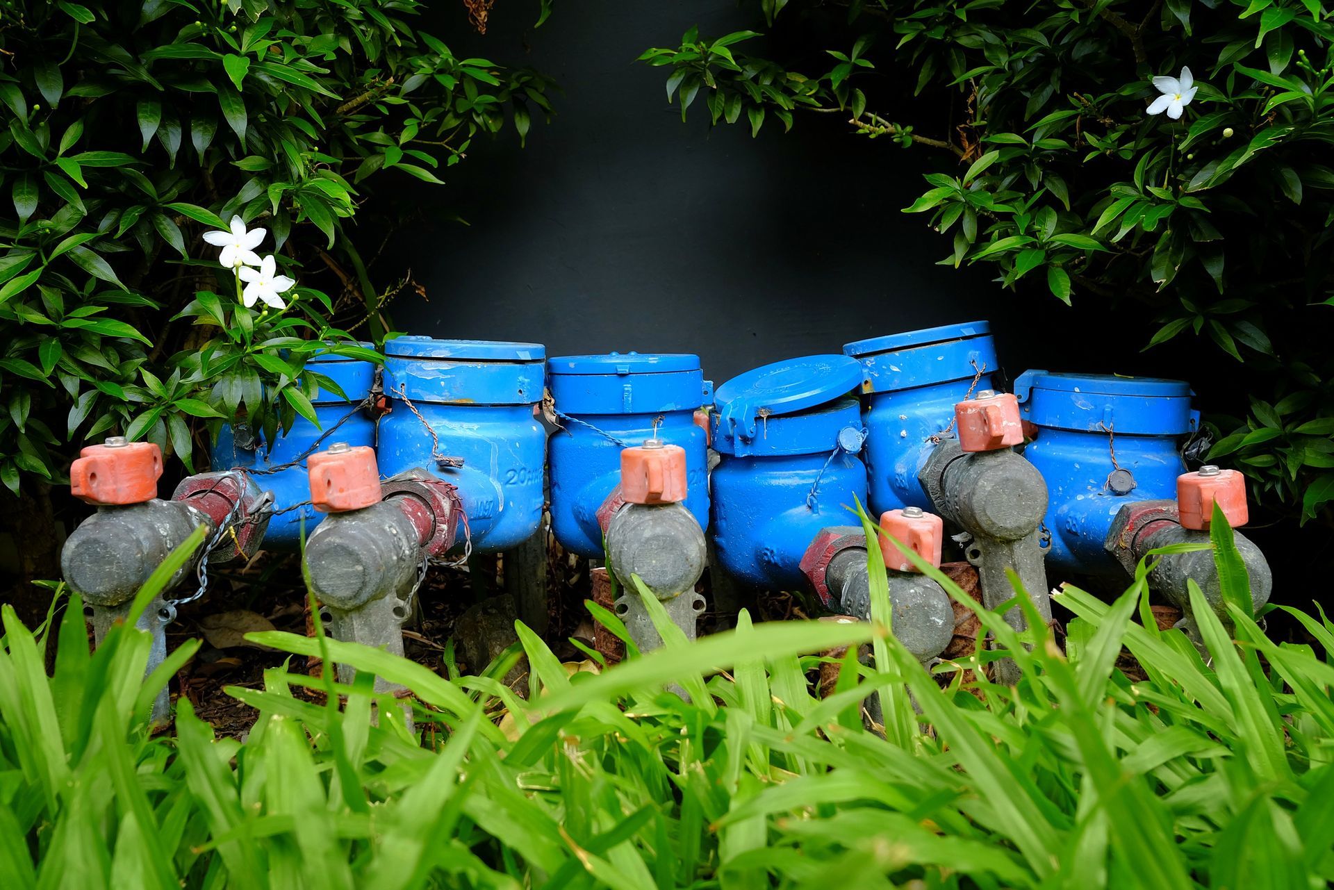 Blue water meters with red and grey valves in a garden setting, framed by green grass and foliage.