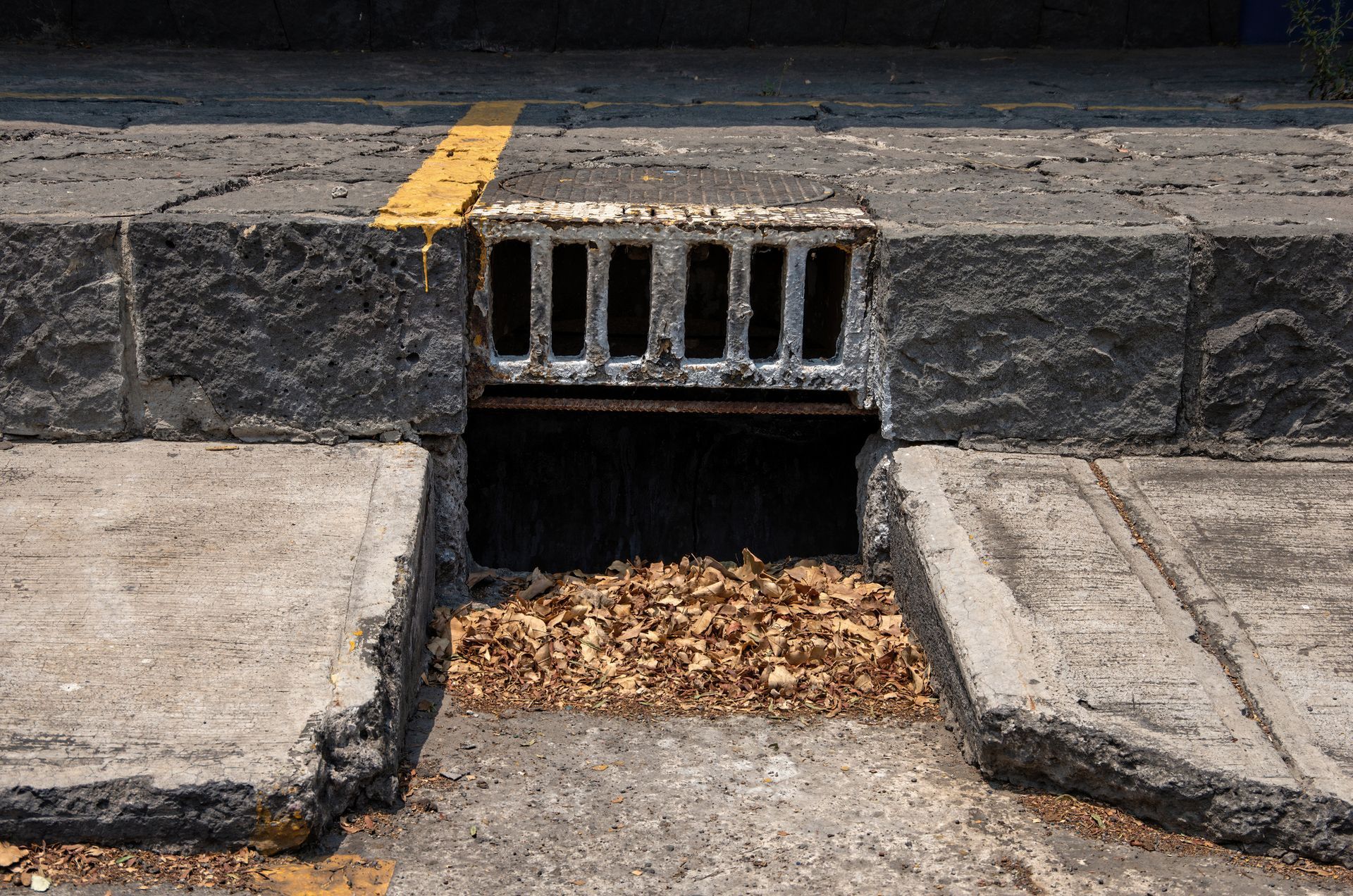 Street-level view of a storm drain with a metal grate, partially filled with dried leaves, embedded in concrete.