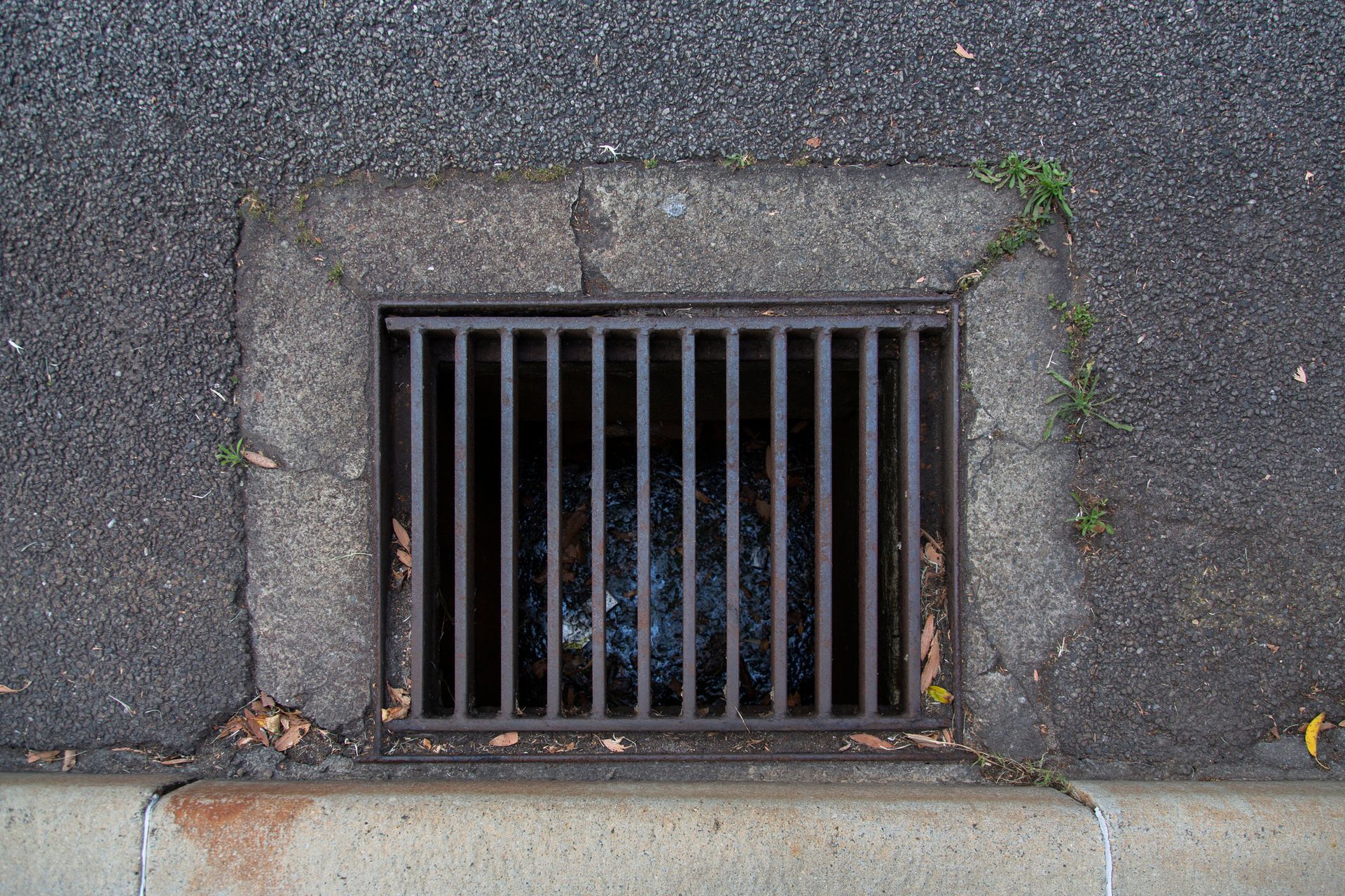 Metal grate over a drain in asphalt pavement. Concrete border, curb, and a few weeds visible.