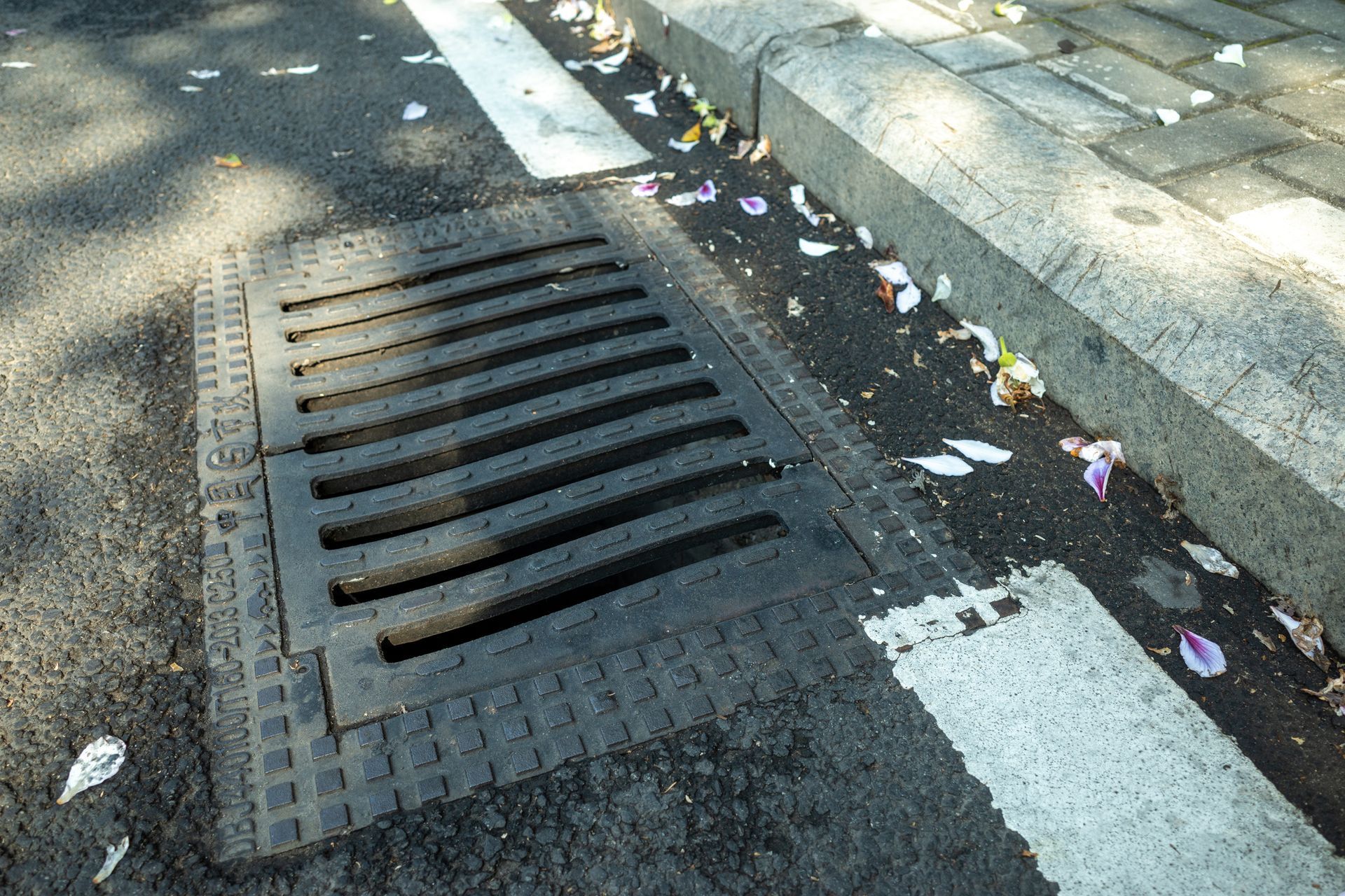 Street-level view of a dark metal drain cover on asphalt next to a curb and crosswalk; debris scattered around.