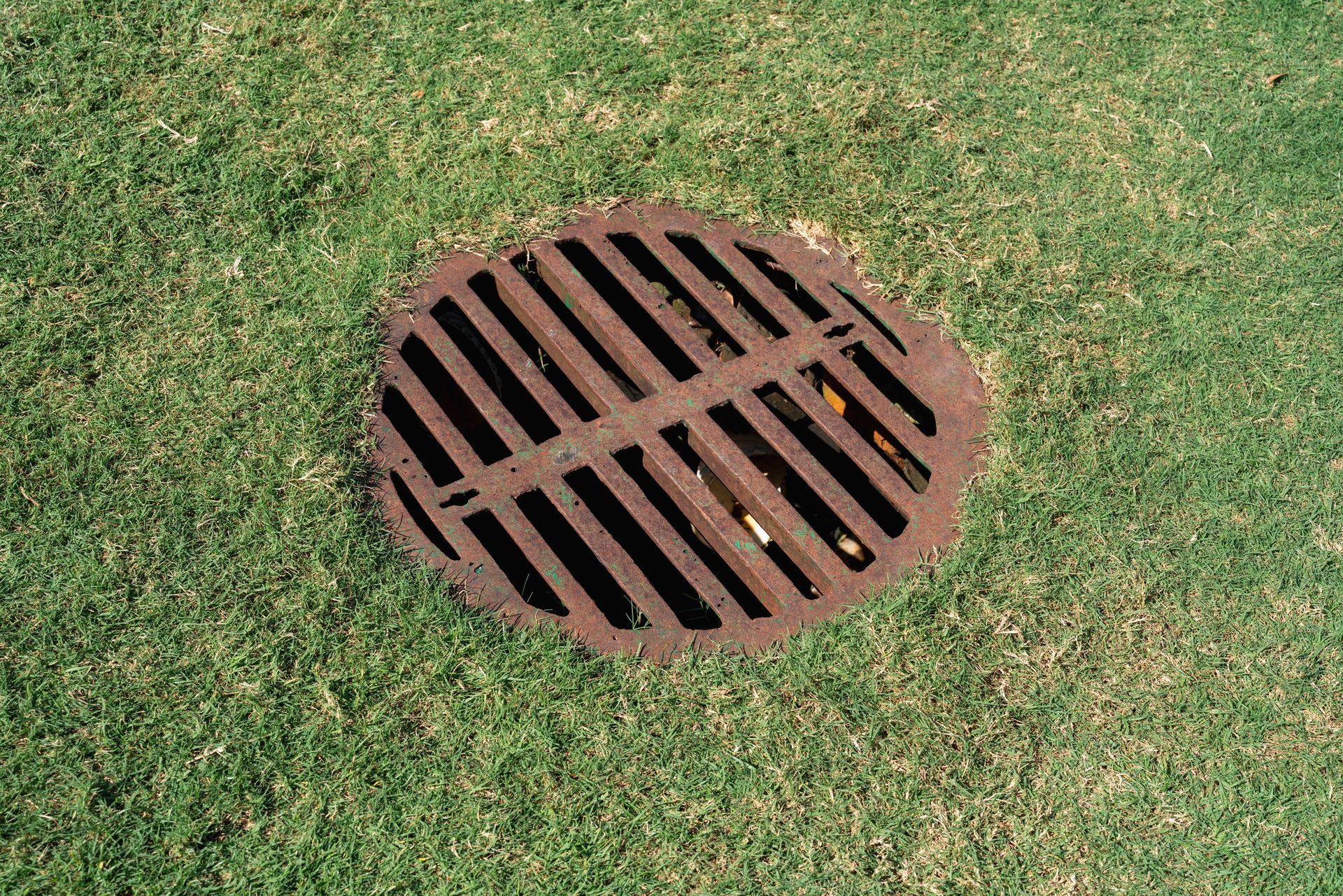 Rusty metal drainage grate set in green grass.