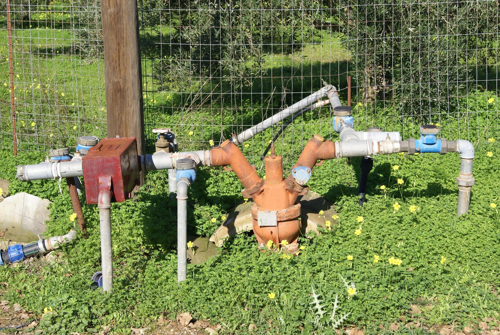 Outdoor water pipe system with gauges, valves, and a rusty red box, in green grass.