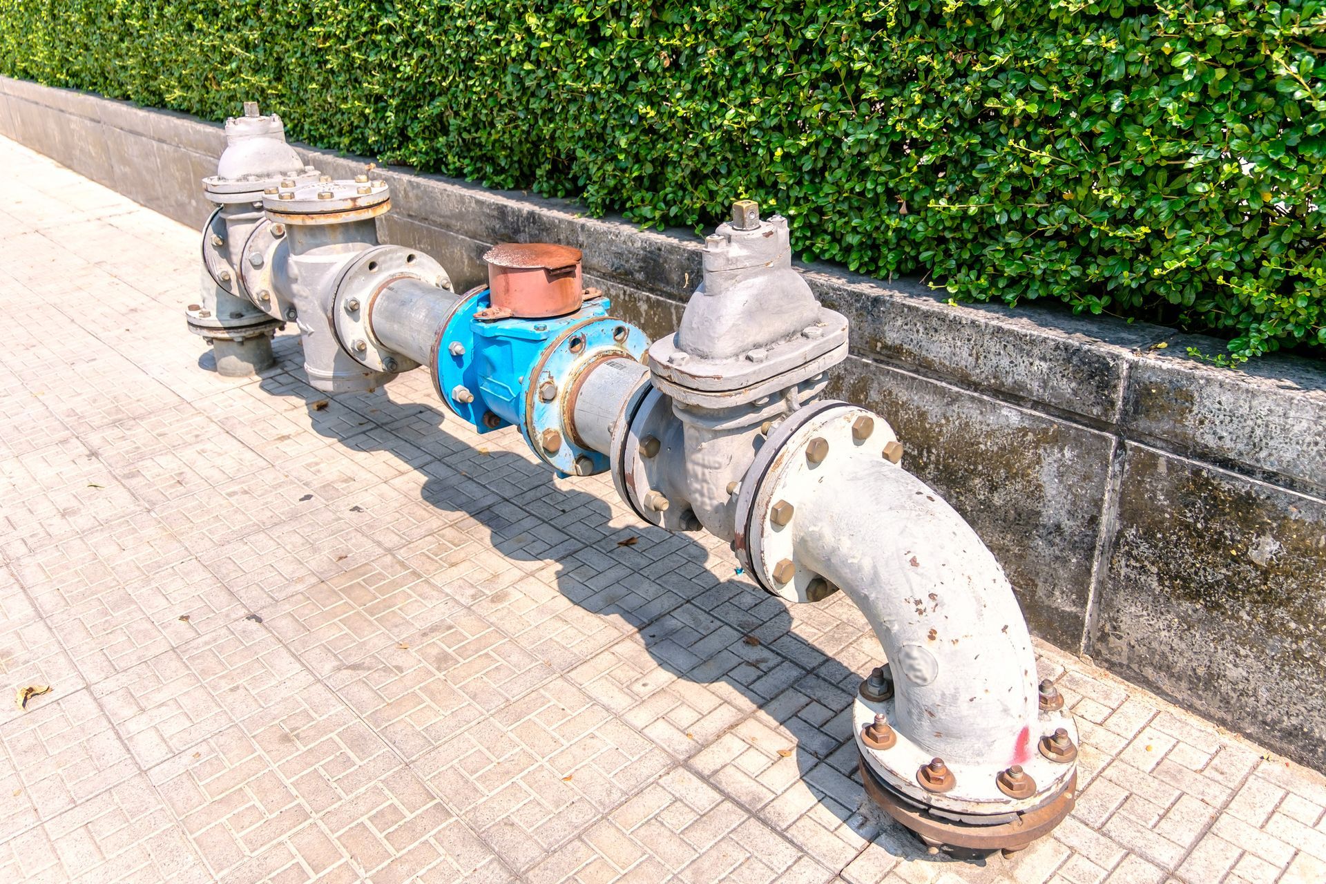 Gray water pipes with blue and orange valves, against green hedge on a tiled sidewalk.
