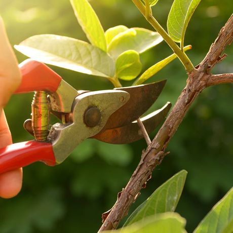 Keeping Our Township Green - Woodbridge Township, NJ