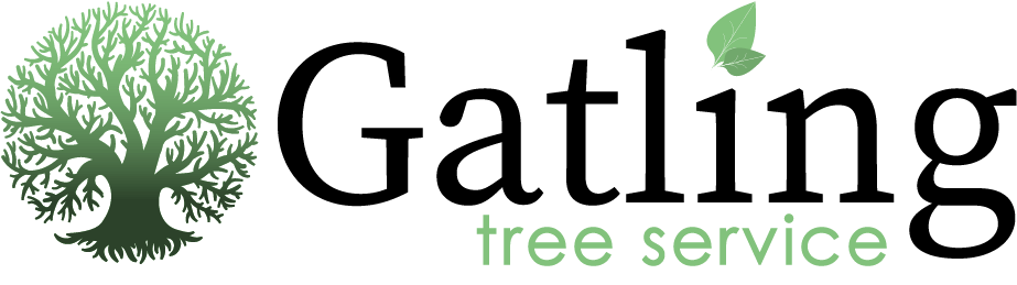 Genesis tree service Woodbridge added to TreeCareHQ listing - roof4half.com