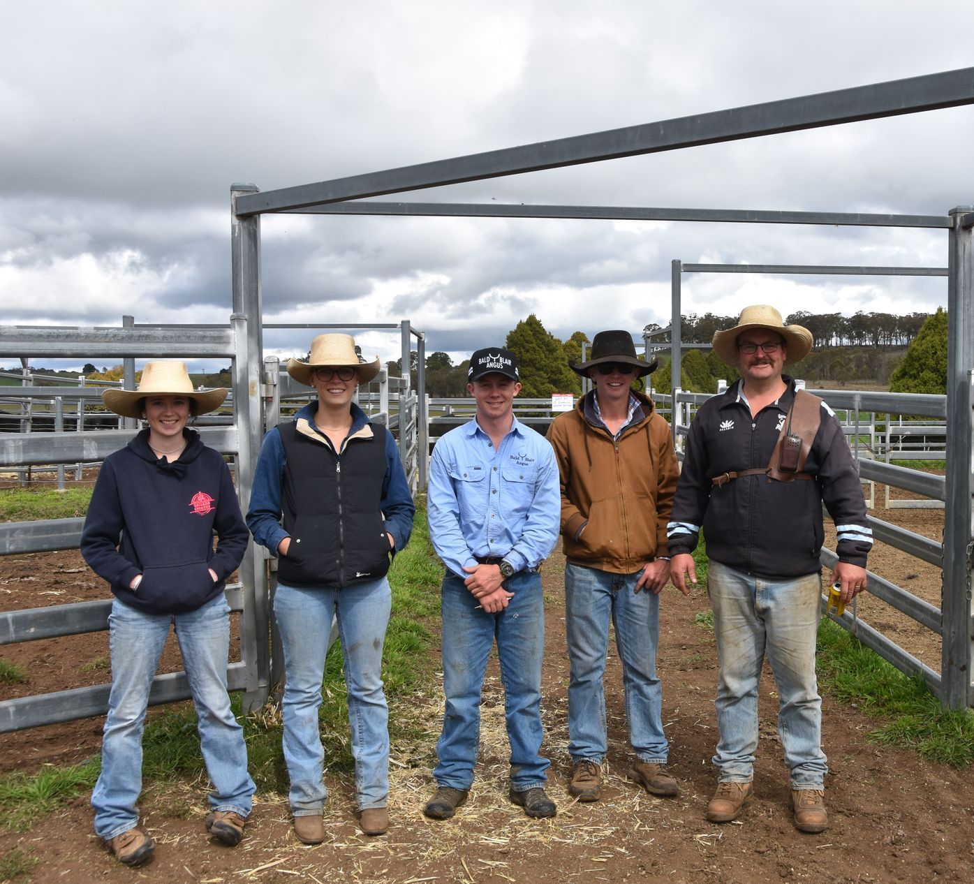 Bald Blair Angus Stud. Bull Sale Tuesday 5th August 2025.