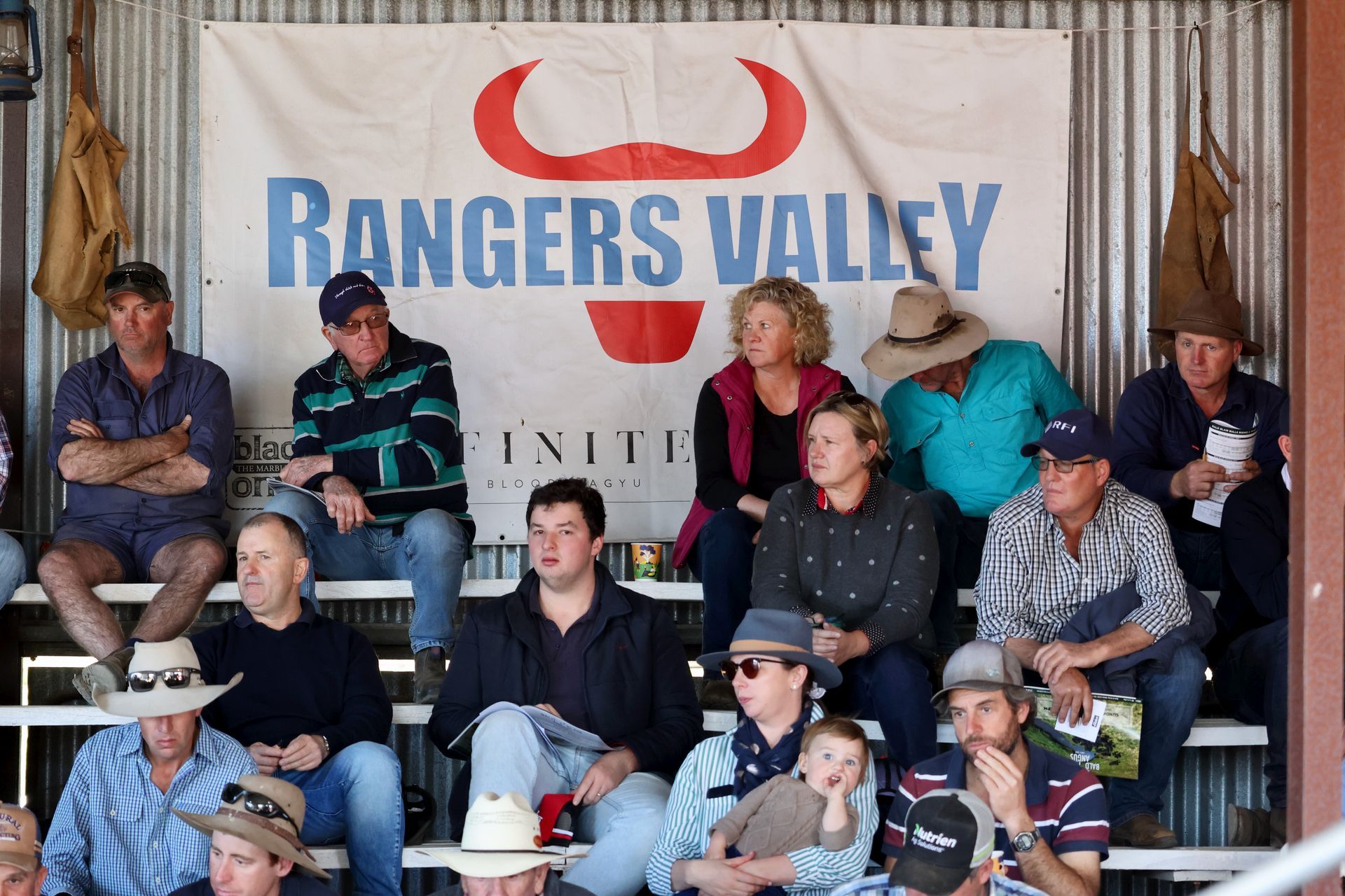 Bald Blair Angus Stud: Bull Sale Tuesday 5th August 2025